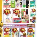 Folleto de Ofertas Bodega Aurrera Surte tu despensa del 17 al 30 de septiembre 2019 3 02