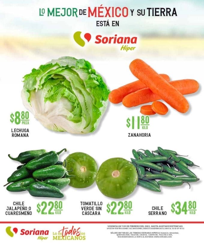 soriana folleto sureste feb 3