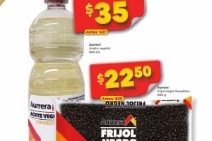 Folleto Bodega Aurrera Canasta Básica del 1 al 30 de Junio 2023