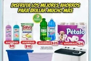 Folleto Bodega Aurrerá Feria de la Limpieza enero 2024 