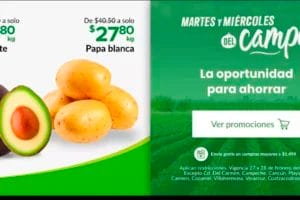 Ofertas Soriana Súper Martes y Miércoles del Campo 27 y 28 de febrero 2024