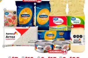 Folleto Bodega Aurrerá Canasta Básica 1 al 31 de marzo 2024