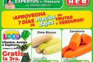 Ofertas HEB frutas y verduras del 16 al 22 de abril 2024