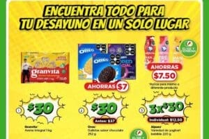 Folleto Bodega Aurrerá El Poder de Ahorrar Mucho Más al 12 de junio 2024